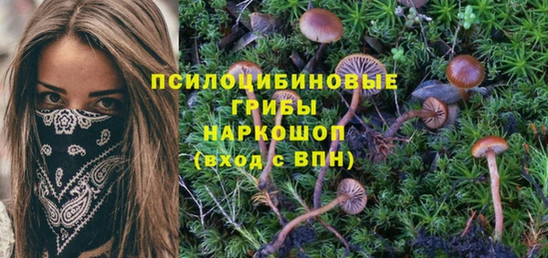 MDMA Premium VHQ Тихорецк