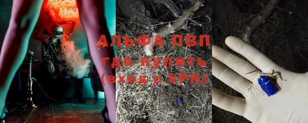 сатива Тихвин
