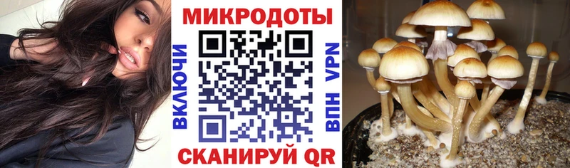 Псилоцибиновые грибы прущие грибы  МЕГА рабочий сайт  Мариинск 